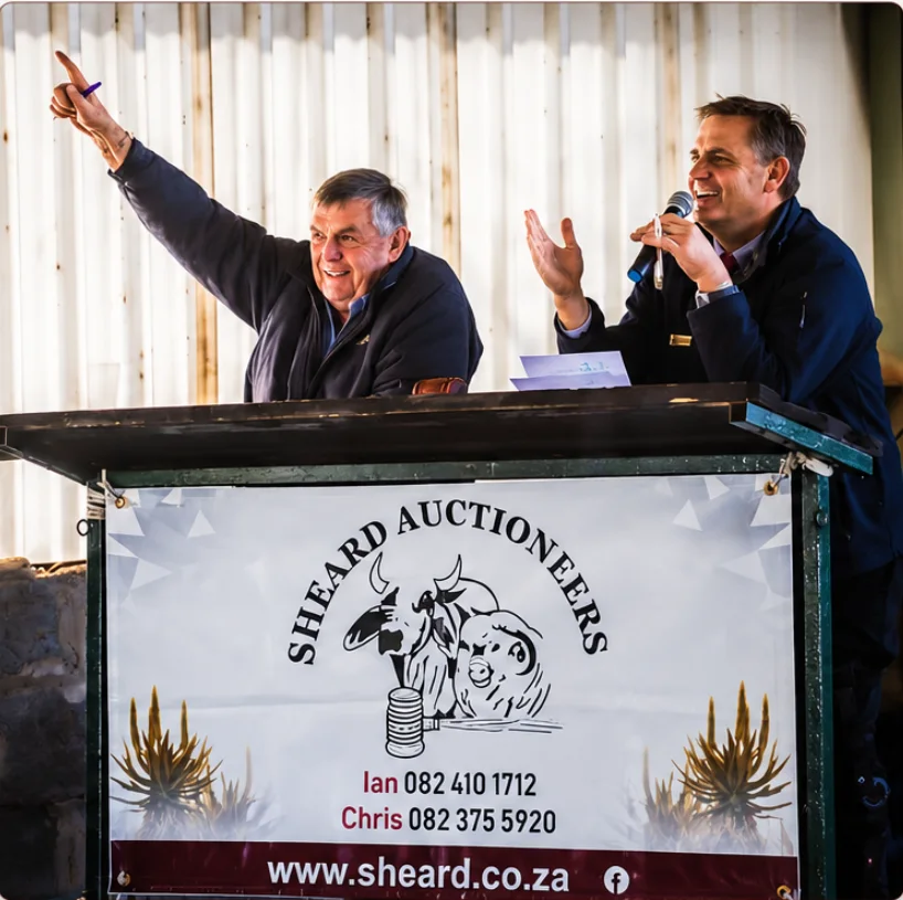 Chris and Ian Sheard conducting an auction