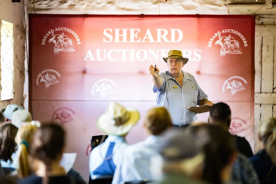 A Sheard auctioneer taking bids