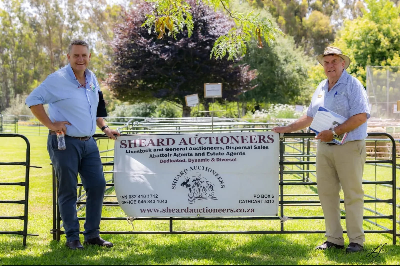 Sheard Auctioneers at an Eastern Cape livestock auction