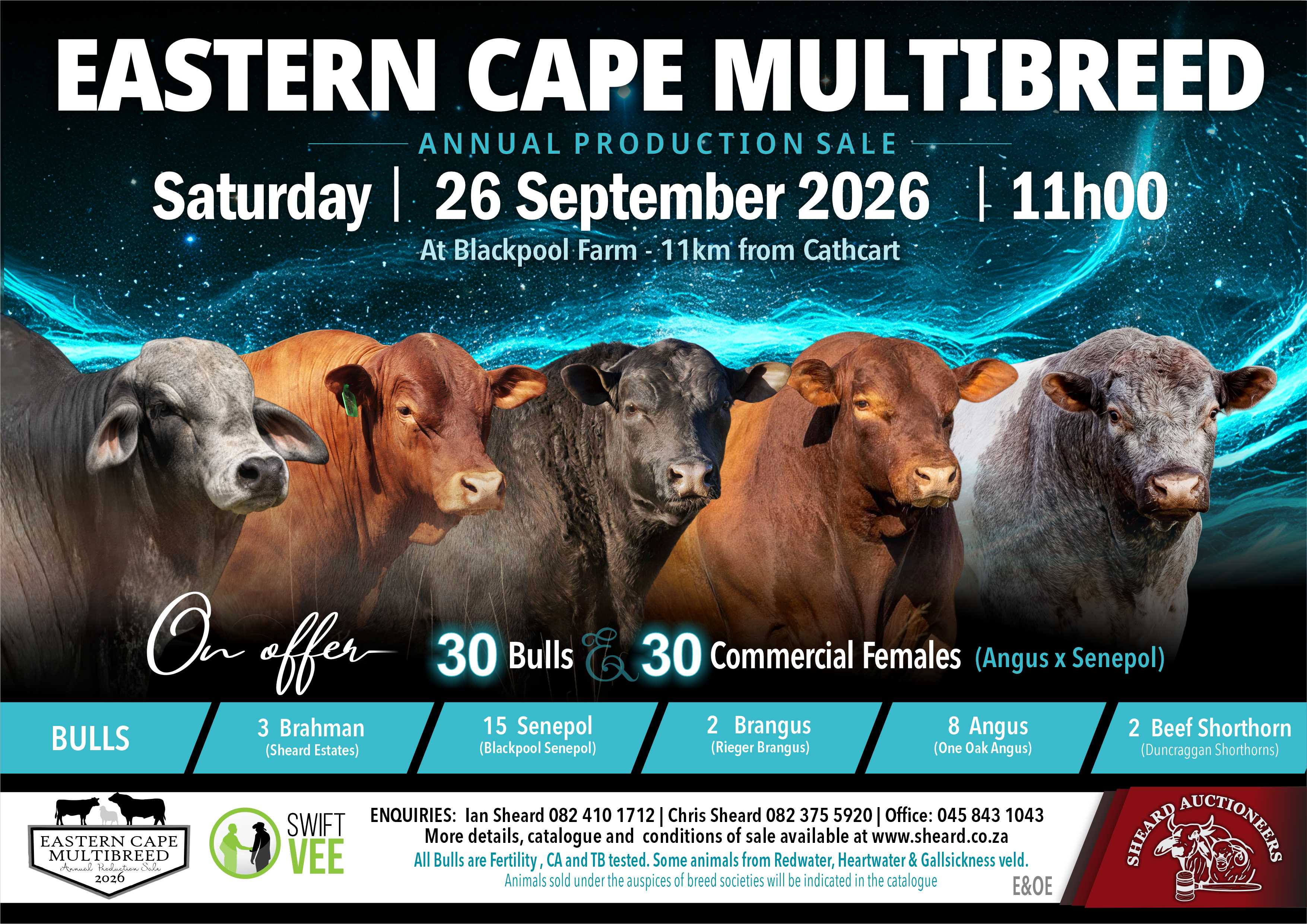 Poster for EASTERN CAPE MULTIBREED ANNUAL PRODUCTION SALE